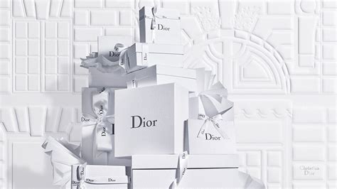 dior buy online usa|dior official online.